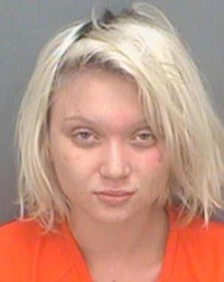 Porn Star Dakota Skye Arrested In Florida For Domestic Violence Mike South 